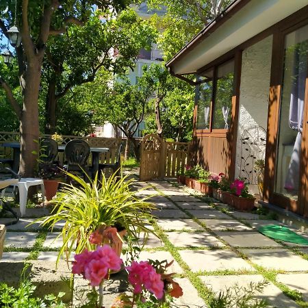 Bed and Breakfast Villino L'Aranceto Sorrentino Meta Zewnętrze zdjęcie