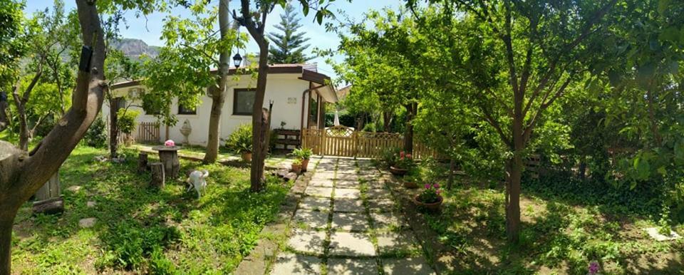 Bed and Breakfast Villino L'Aranceto Sorrentino Meta Zewnętrze zdjęcie