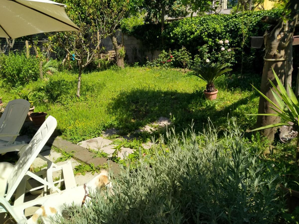 Bed and Breakfast Villino L'Aranceto Sorrentino Meta Zewnętrze zdjęcie