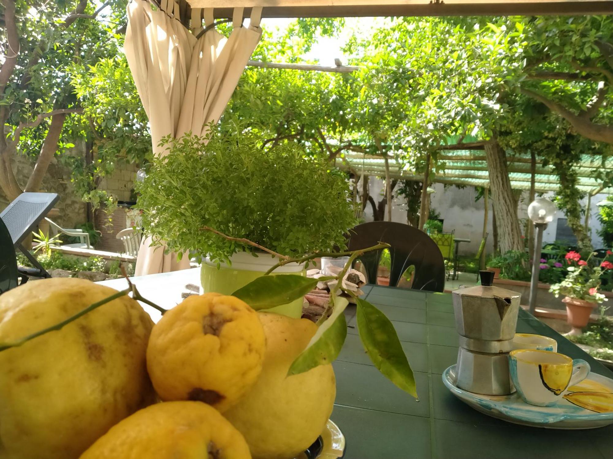 Bed and Breakfast Villino L'Aranceto Sorrentino Meta Zewnętrze zdjęcie