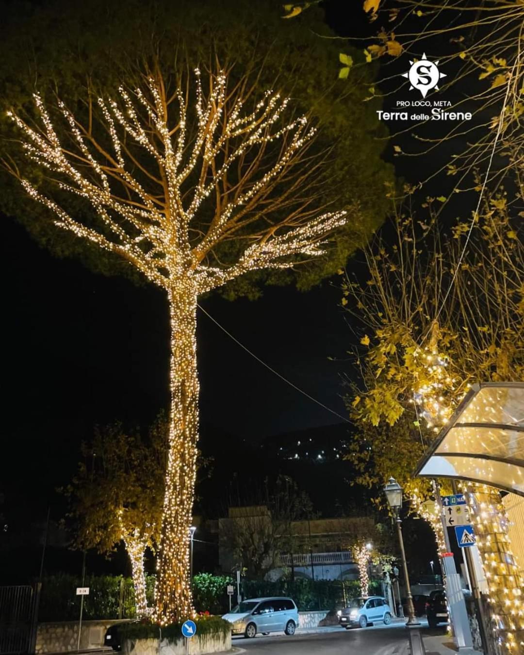 Bed and Breakfast Villino L'Aranceto Sorrentino Meta Zewnętrze zdjęcie