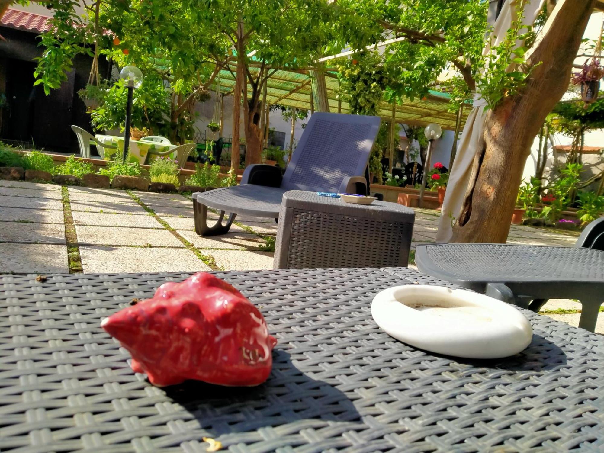 Bed and Breakfast Villino L'Aranceto Sorrentino Meta Zewnętrze zdjęcie