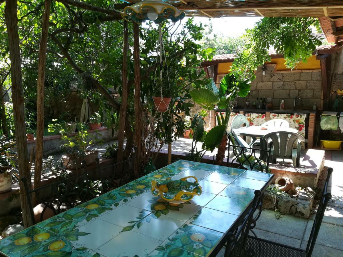 Bed and Breakfast Villino L'Aranceto Sorrentino Meta Zewnętrze zdjęcie