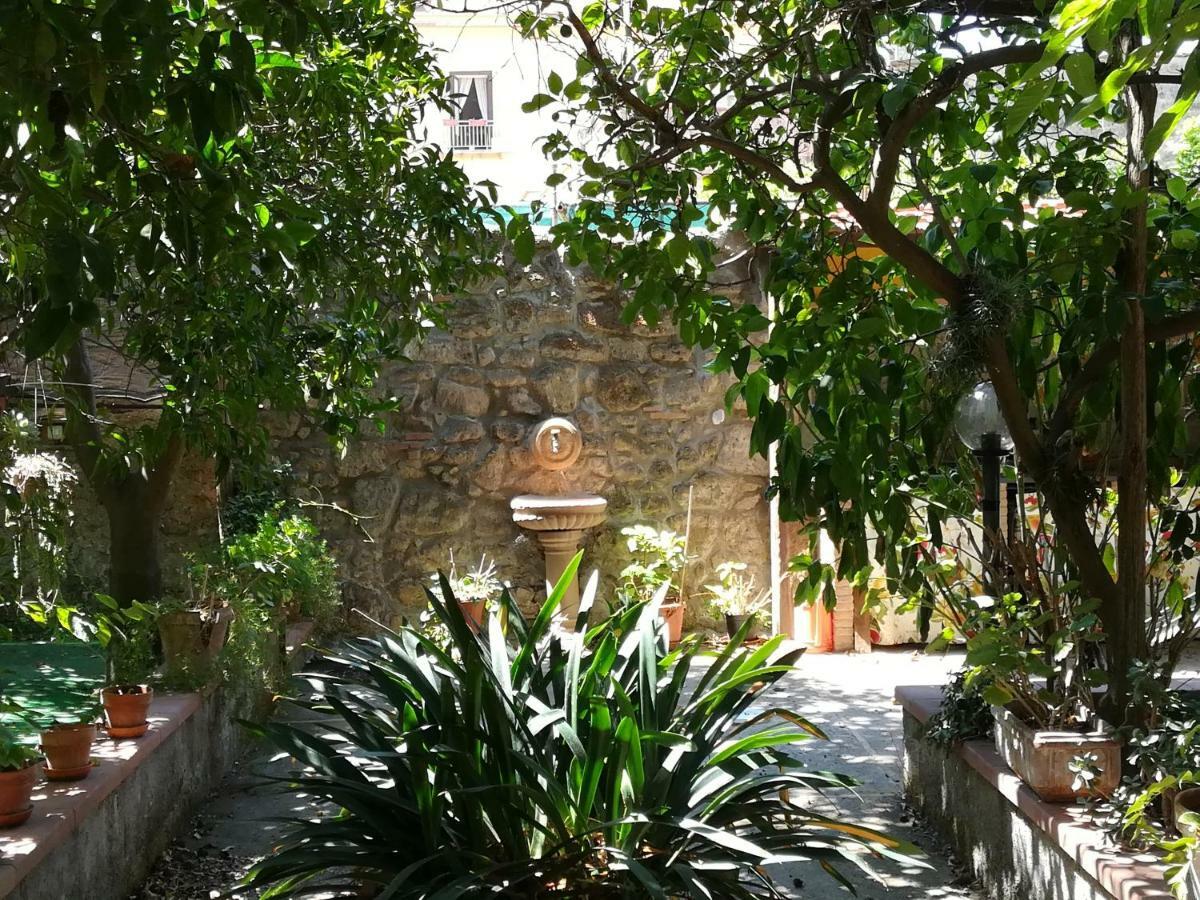 Bed and Breakfast Villino L'Aranceto Sorrentino Meta Zewnętrze zdjęcie