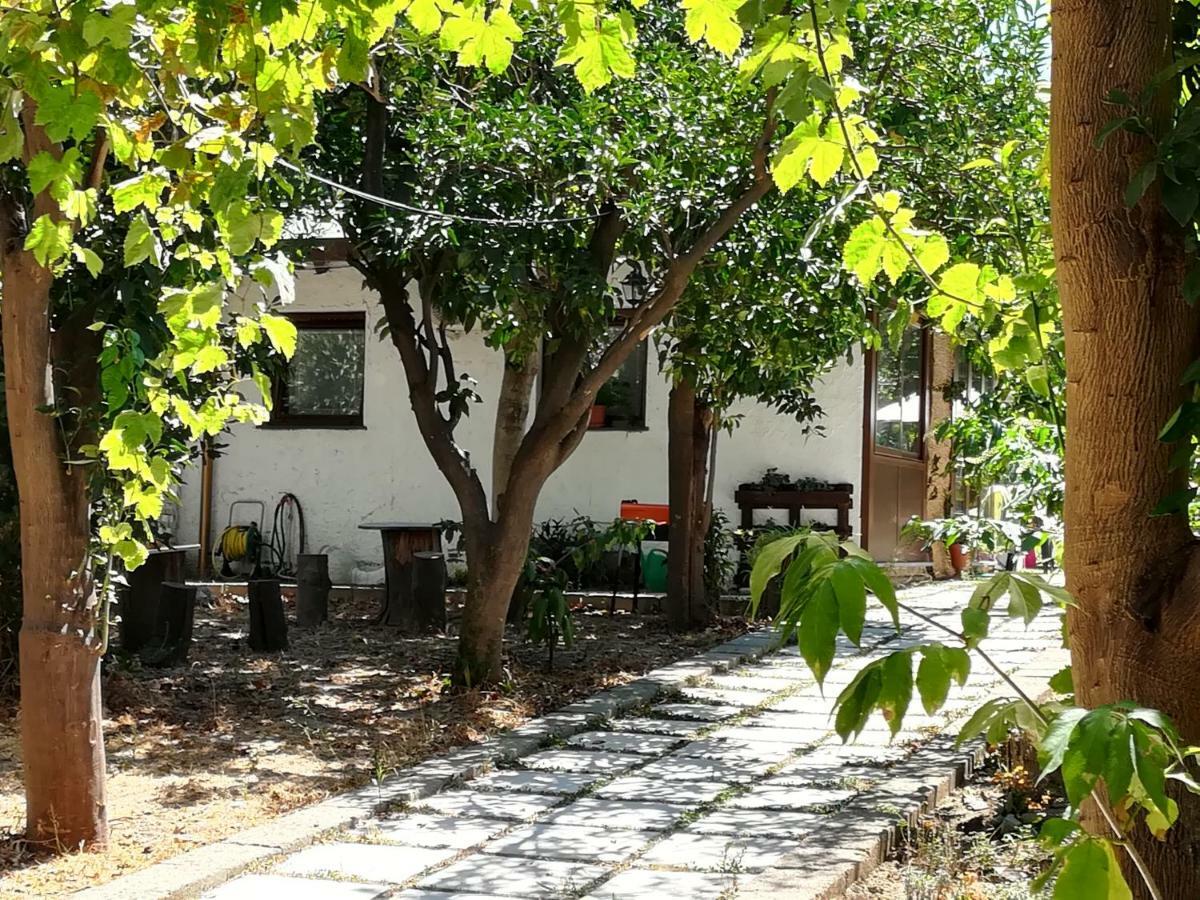 Bed and Breakfast Villino L'Aranceto Sorrentino Meta Zewnętrze zdjęcie