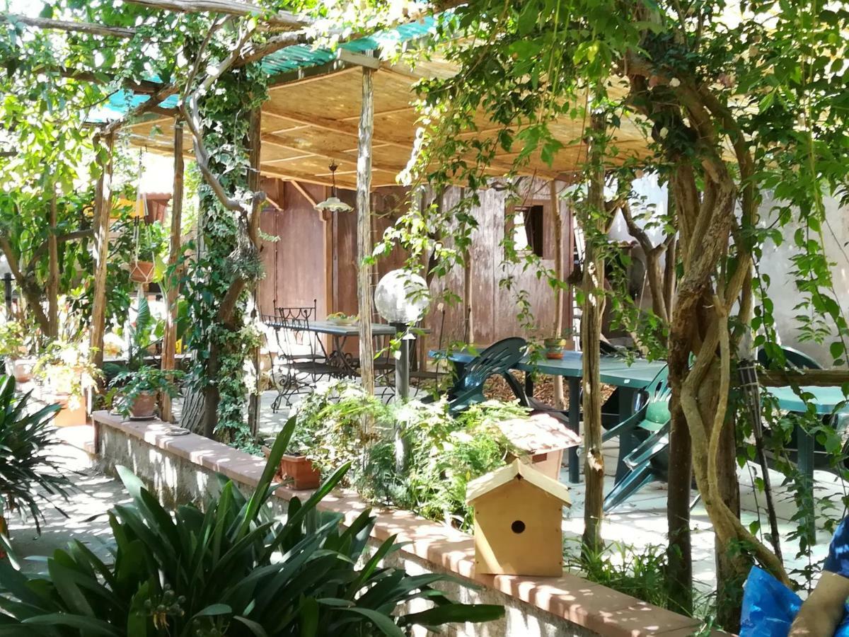 Bed and Breakfast Villino L'Aranceto Sorrentino Meta Zewnętrze zdjęcie
